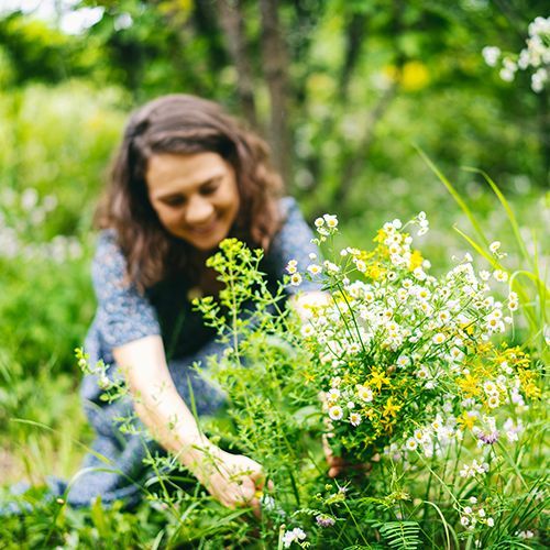 Eine Frau Pflückt im Garten einen großen Wildblumenstrauß