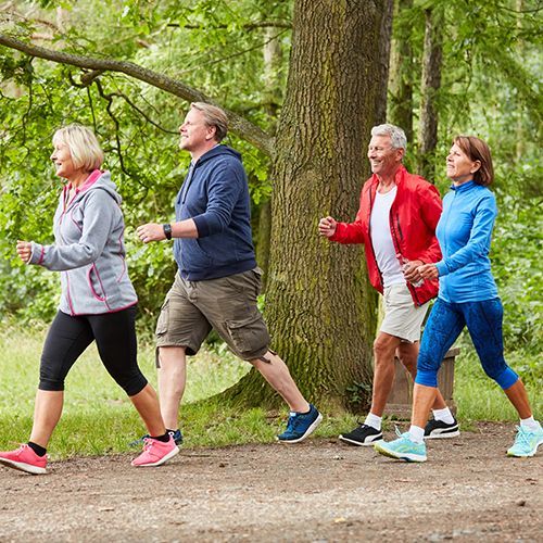 Vier ältere Personen walken durch einen Wald. Sie tragen halblange Sporthosen und langarmige Oberteile.
