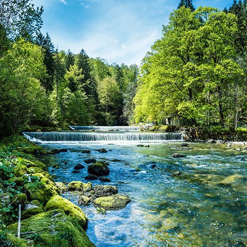Zu sehen ist eine idyllische Landschaftsaufnahme eines Flusses, der mit kleinen Wasserf&auml;llen durch einen sommerlich gr&uuml;nen Wald flie&szlig;t.