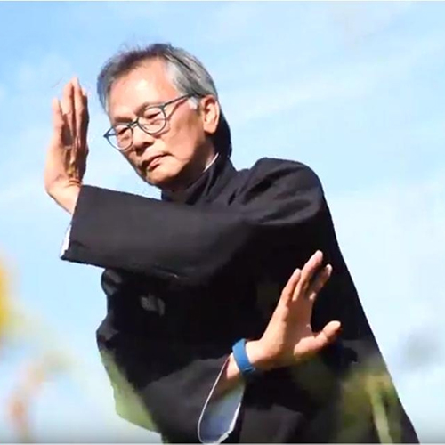 Dozent, der Qigong auf einer Wiese praktiziert